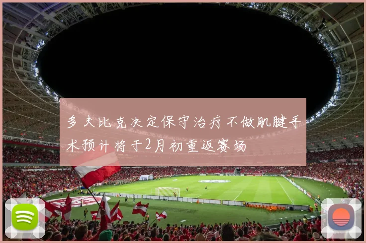 多夫比克决定保守治疗不做肌腱手术预计将于2月初重返赛场